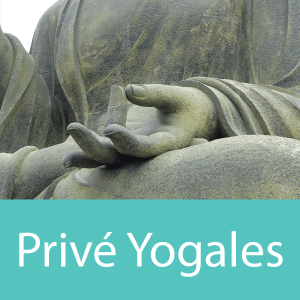 Yoga-Essence-Prive-Yogales
